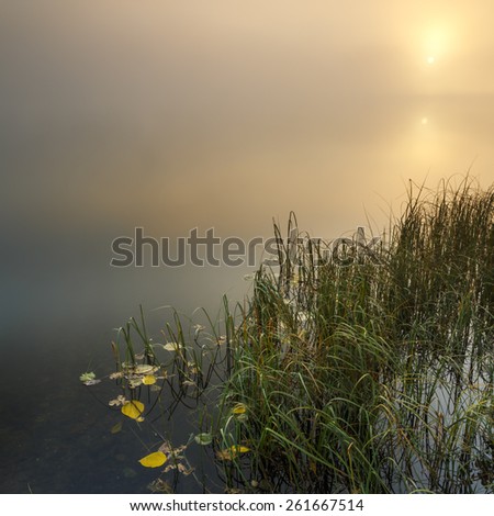 Misty morning sunrise on autumn lake in north Poland/ Foggy Lake