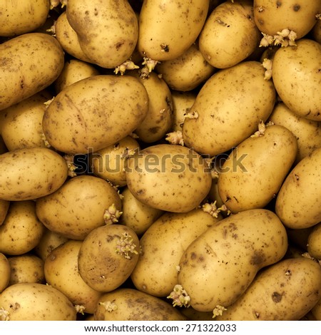Potatoes raw vegetables food agriculture pattern texture and background/ Potatoes