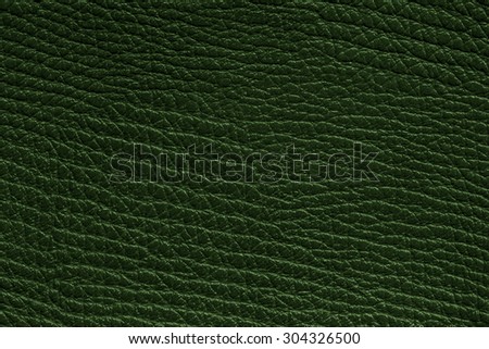 Green Leather Texture Background/ Green Leather