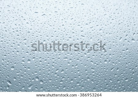 Water Drops./ Water Drops.