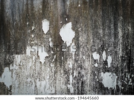 Old cement wall with black mold and paint peeling off