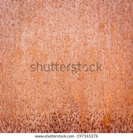 Rusty on white metal sheet