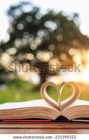 Close up book on table in sunset time