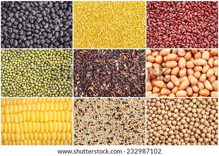 Set of various grain, beans, rice and corn