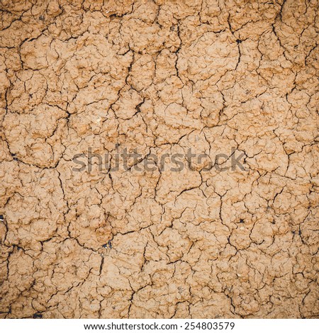 Texture of wet clay wall background