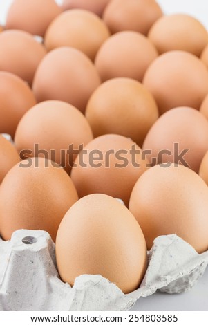 Close up Eggs in paper tray