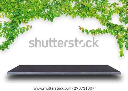 Empty top of natural stone shelves and green pattern wall background. For product display