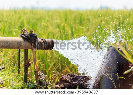 Water flow from large pump tube in rice field in central of Thailand, Focus on tube
