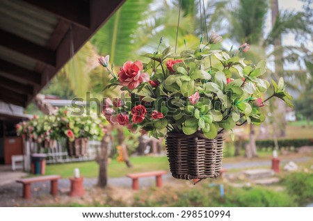 Hanging basket of flowers vintage
