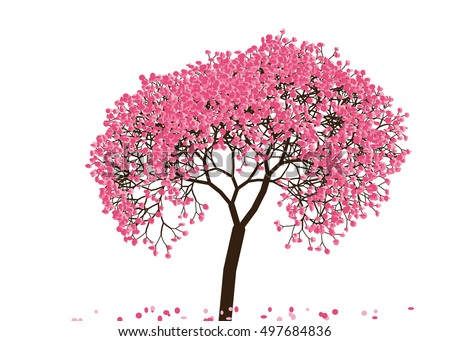 Cherry Blossom Tree Vector | Download Free Vector Art | Free-Vectors