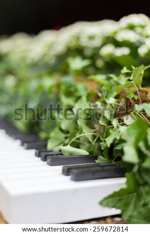 Allan gardens conservatory Christmas piano by garden muses, Toronto, Ontario, Canada