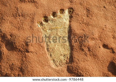 trail guide footprint at Canyon de Chelly