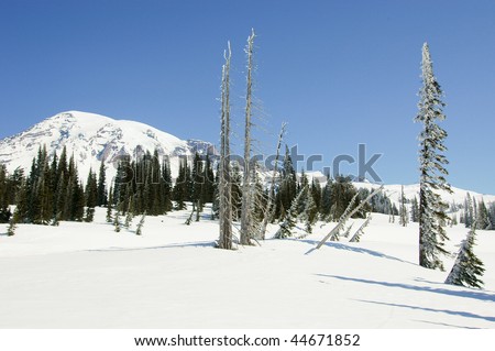 snowy mountain range