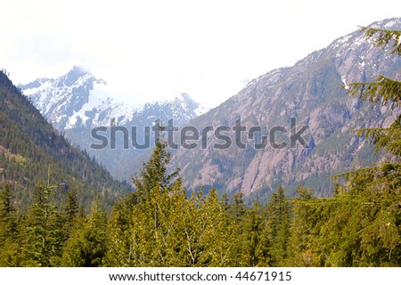 North Cascades mountain range and pine forest
