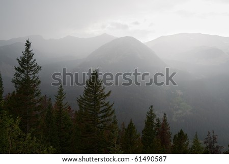 dark mountains and pine trees in a rain storm