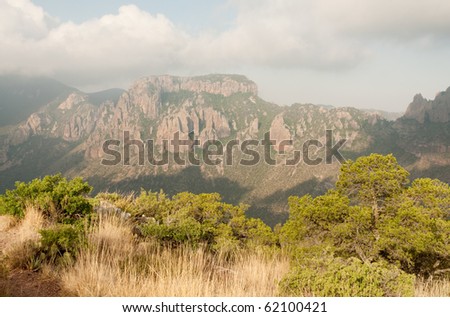 juniper canyon in the Chisos Mountains on Lost Mine Trail