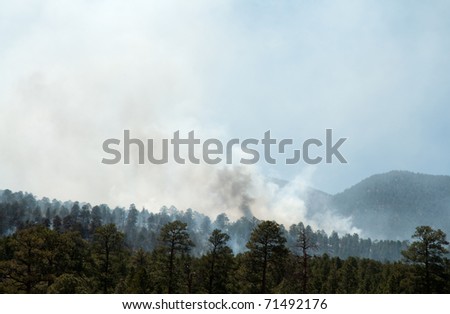 forest fire in the Coconino National Forest