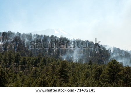 forest fire in the Coconino National Forest