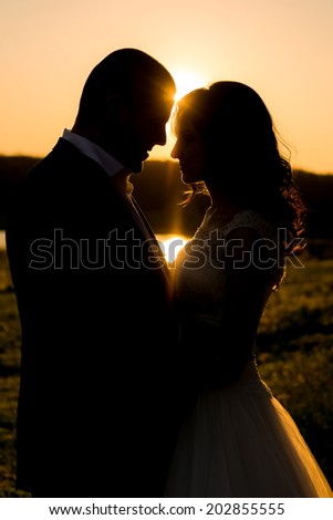 wedding. beautiful  happy couple kissing in the sun
