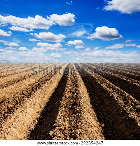 Soil preparation for cultivation vegetable with blue sky