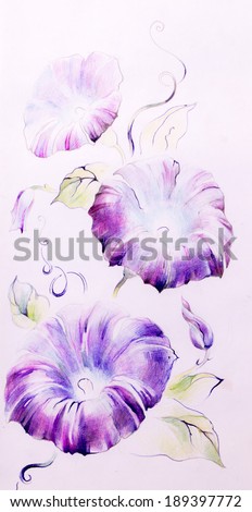 Delicate beautiful violet - purple flower. Graphics.