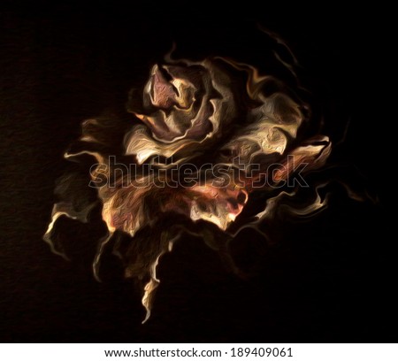 Mysterious dreamlike flower - an enigma on a black background, similar to the tongues of flame in the dark. Glare light in deep in the night. Digital graphics.