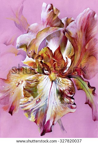 Beautiful  fantastic exotic flower iris purple - violet palette with pink shades. Realistic drawing on textured paper - hand illustration