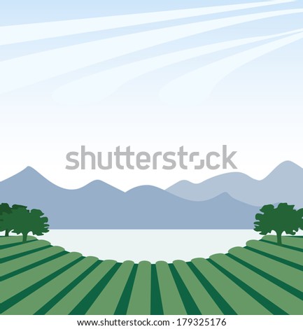 Near Lake. Vector illustration with peaceful landscape of plantation, stretching to the mountains lake. Classic landscape of vineyards. Vector file is EPS8, all elements are grouped.