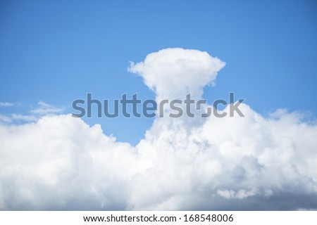 Mushroom cloud