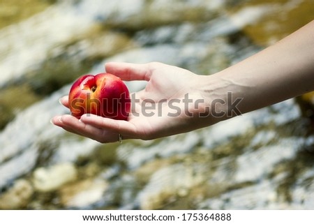 Hand washing the peach in the mountain river