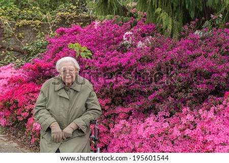 old woman sits on walker in front of pink Azalea