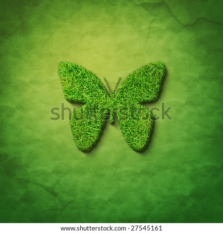 grass butterfly