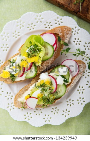 Fresh sandwiches with egg,radish,cucumber and lettuce