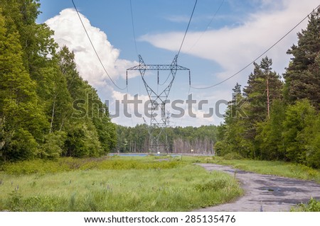 Electricity transmission pylon and power lines in a forest