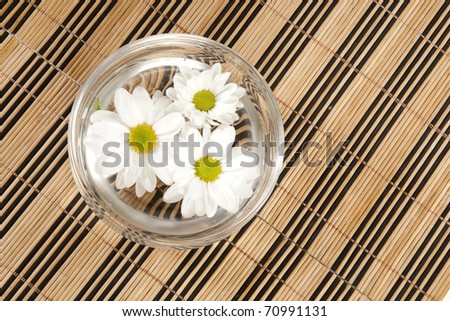white flower in bowl