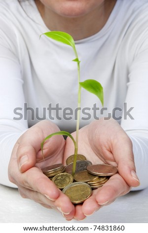 new plant sprouting from a hand with money - concept for business, innovation, growth and money. isolated on white