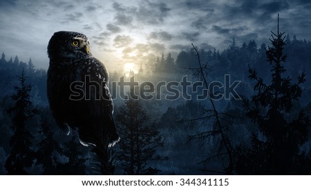 Owl perched over forest valley landscape with full Moon rising.