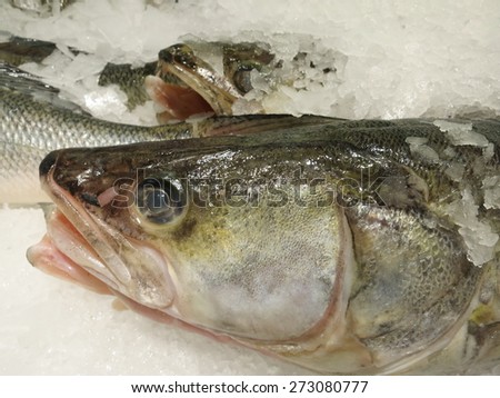 Fresh fish for sale. Could be used for restaurant menu