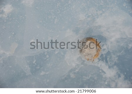Coin under ice