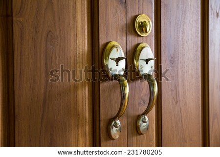 Golden door handle on wooden door.