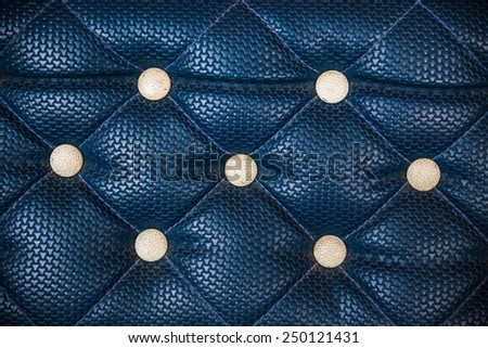 Genuine leather upholstery background for a luxury decoration