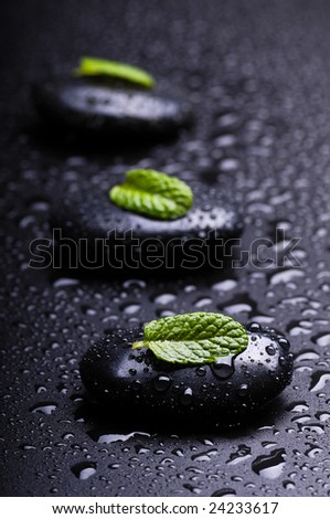 black stones whit leaf of mint and drops