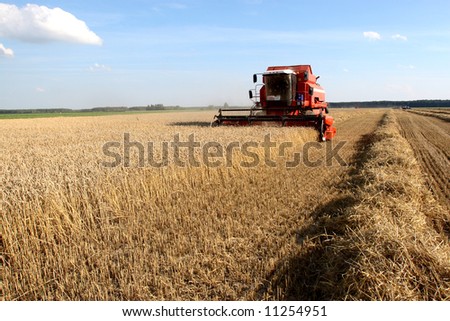 Machine harvesting the corn field