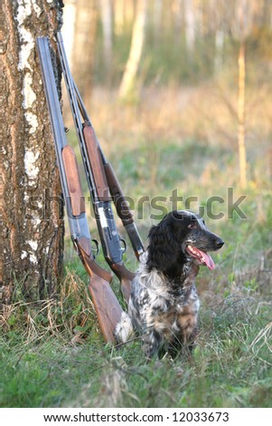 Dog with guns under a tree