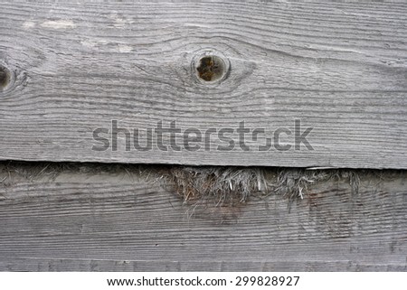 wooden planks texture of old gray wood