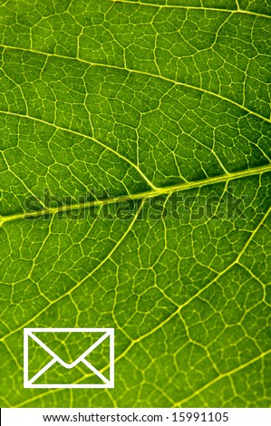 E-mail sign on green leaf closeup