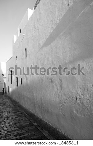 House in arabic town in black and white