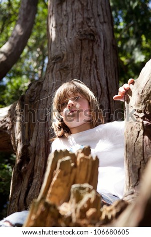 Child climbing tree. young male in forest playing on branch. active boy in nature