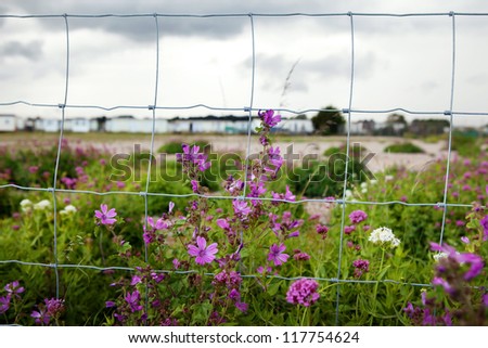 Fence with flowers and caravan or camp site in background. Barren landscape in England Sussex.