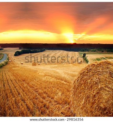 bales of hay or straw. field at harvest with crop cut and pressed in sunset